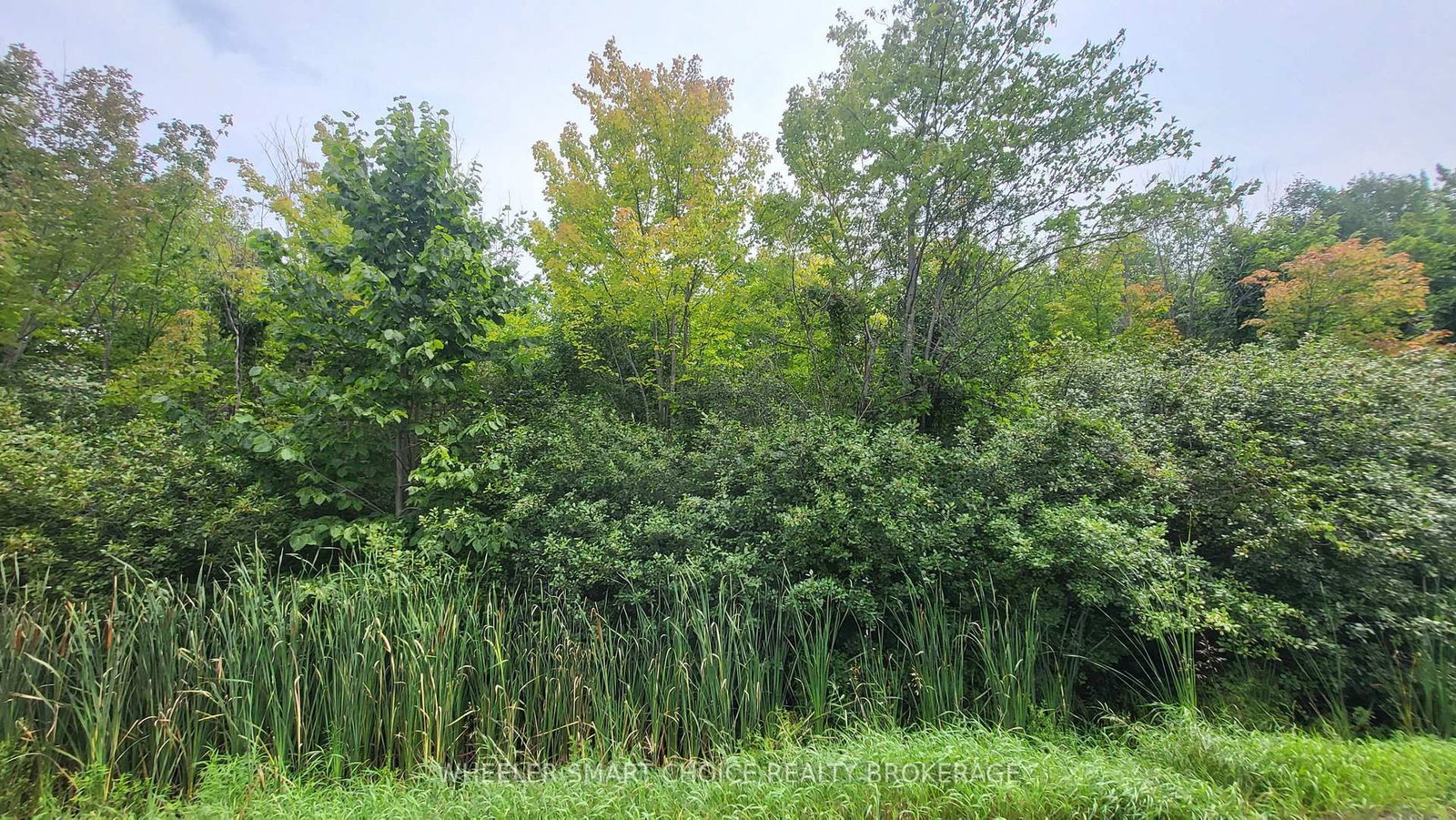 Lot 6 Tolmies Corners Road • North Stormont, ON photo 1
