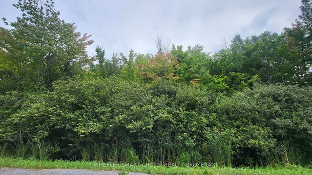 Lot 6 Tolmies Corners Road