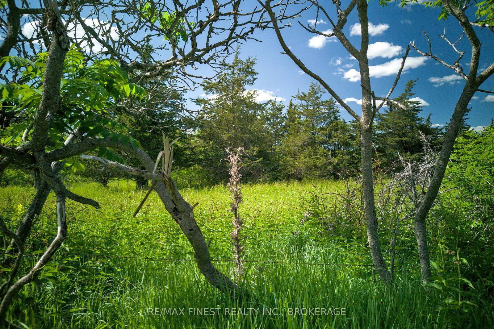 Lot 13 Front Road • Stella, ON photo 11