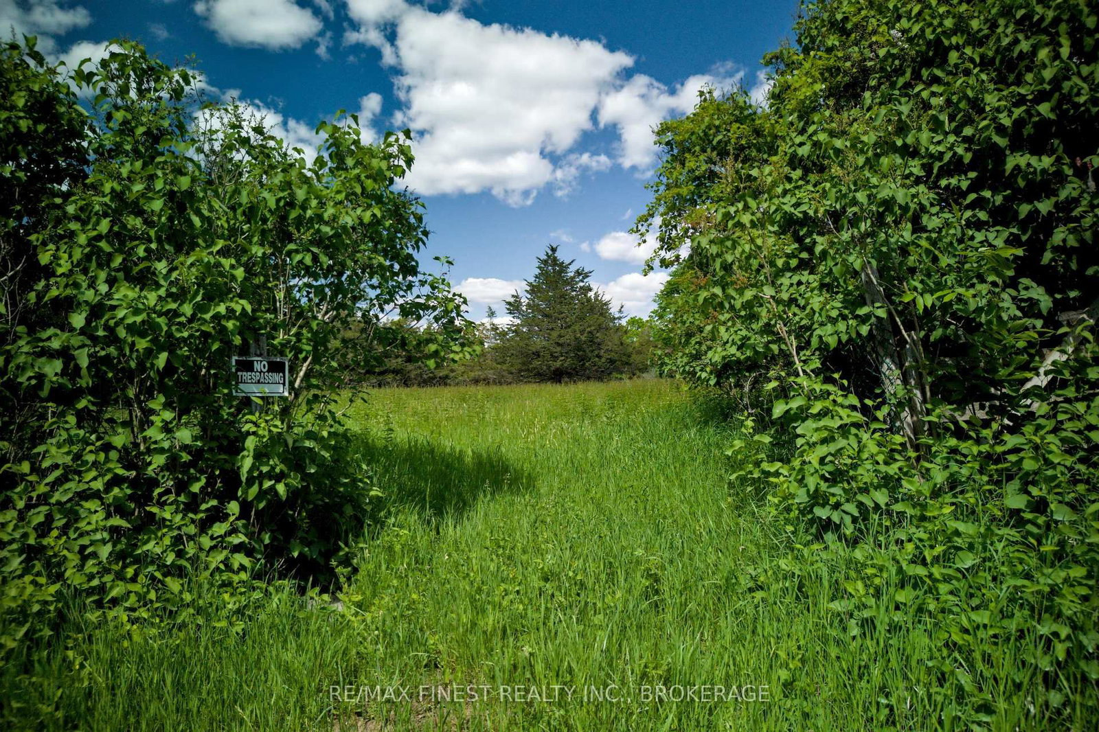 Lot 13 Front Road • Stella, ON photo 12