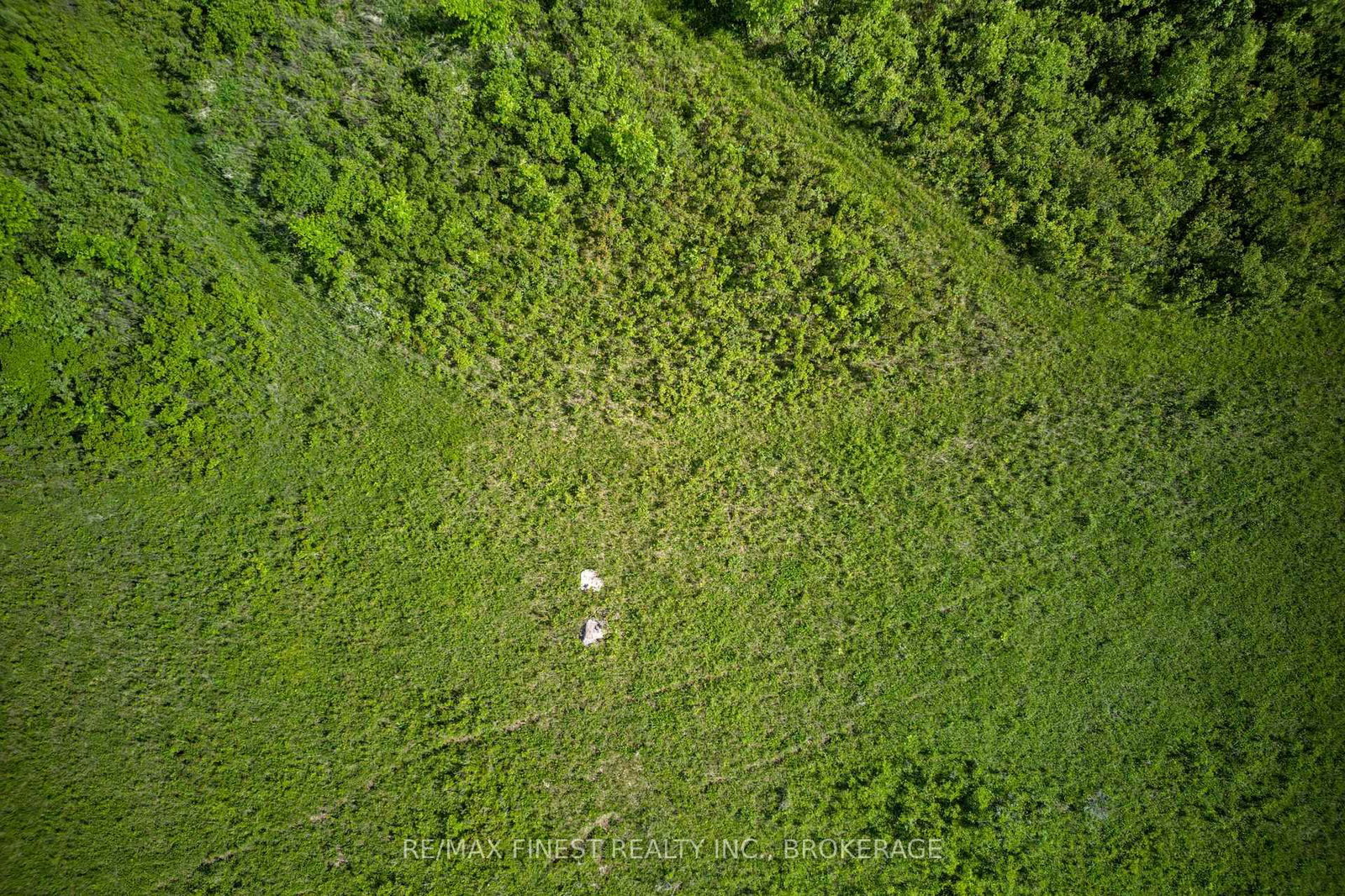 Lot 13 Front Road • Stella, ON photo 20