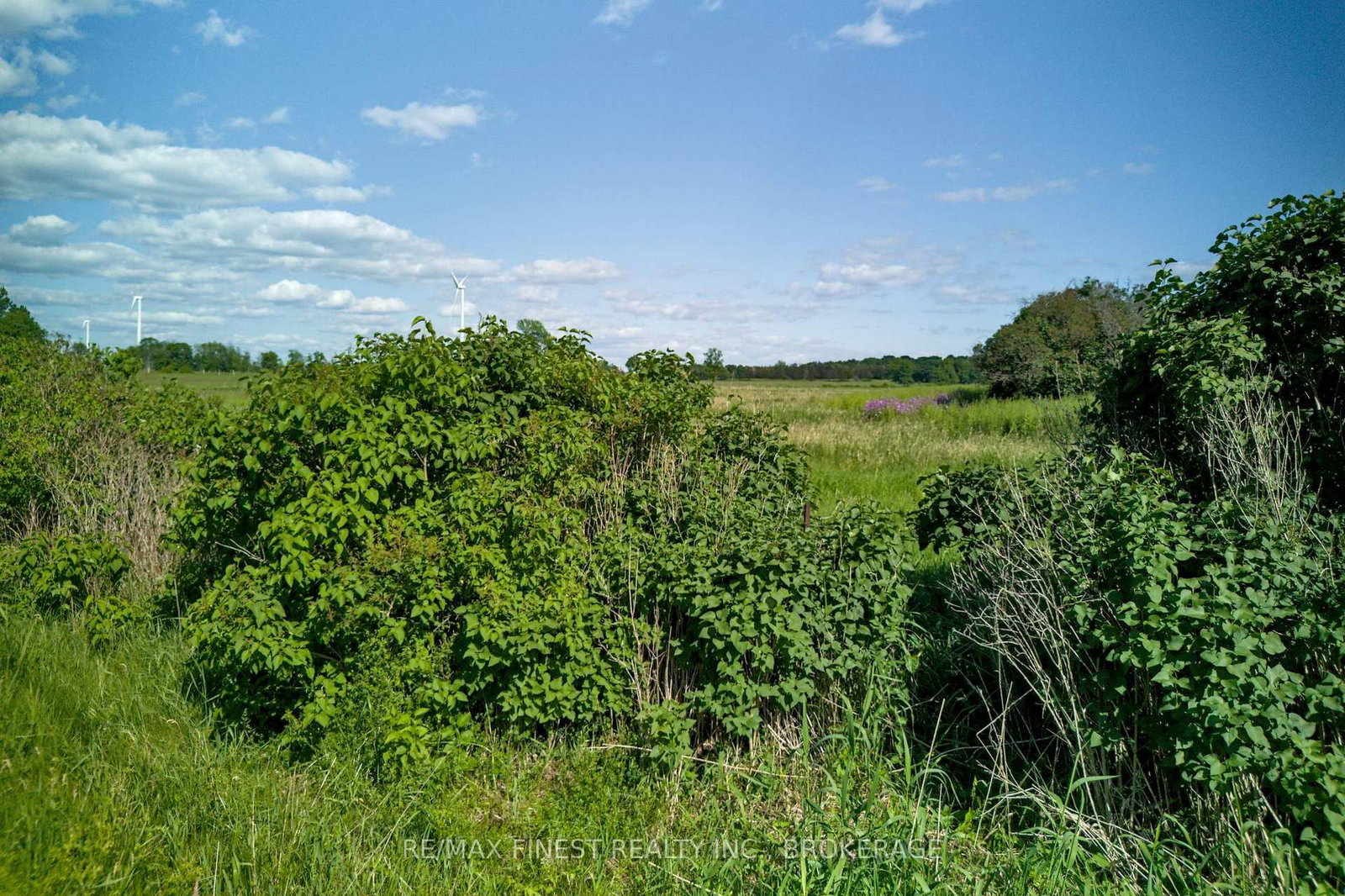 Lot 13 Front Road • Stella, ON photo 31