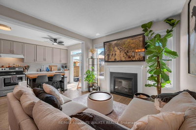236 Willow Aster Circle — photo 6