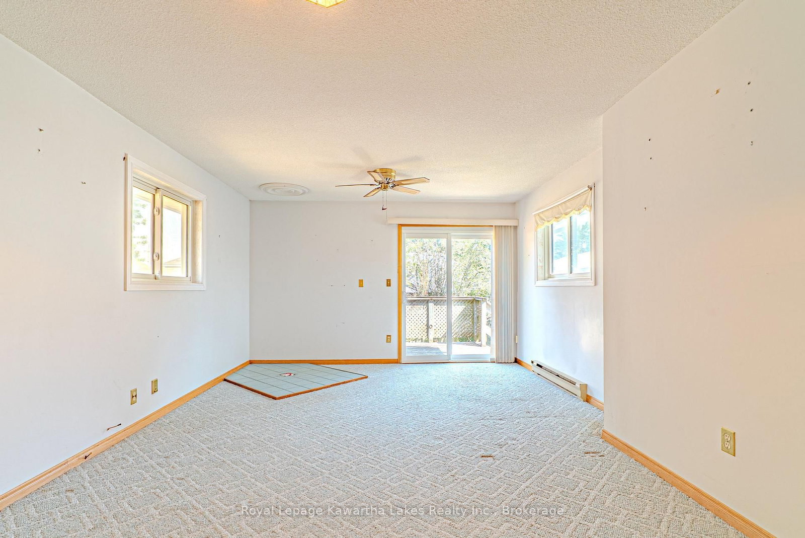 182 Colborne Street W • Kawartha Lakes, ON photo 17