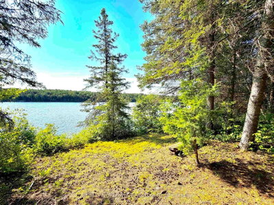 PART 3 TRANQUIL ISLAND • Kenora Remote Area, ON photo 9