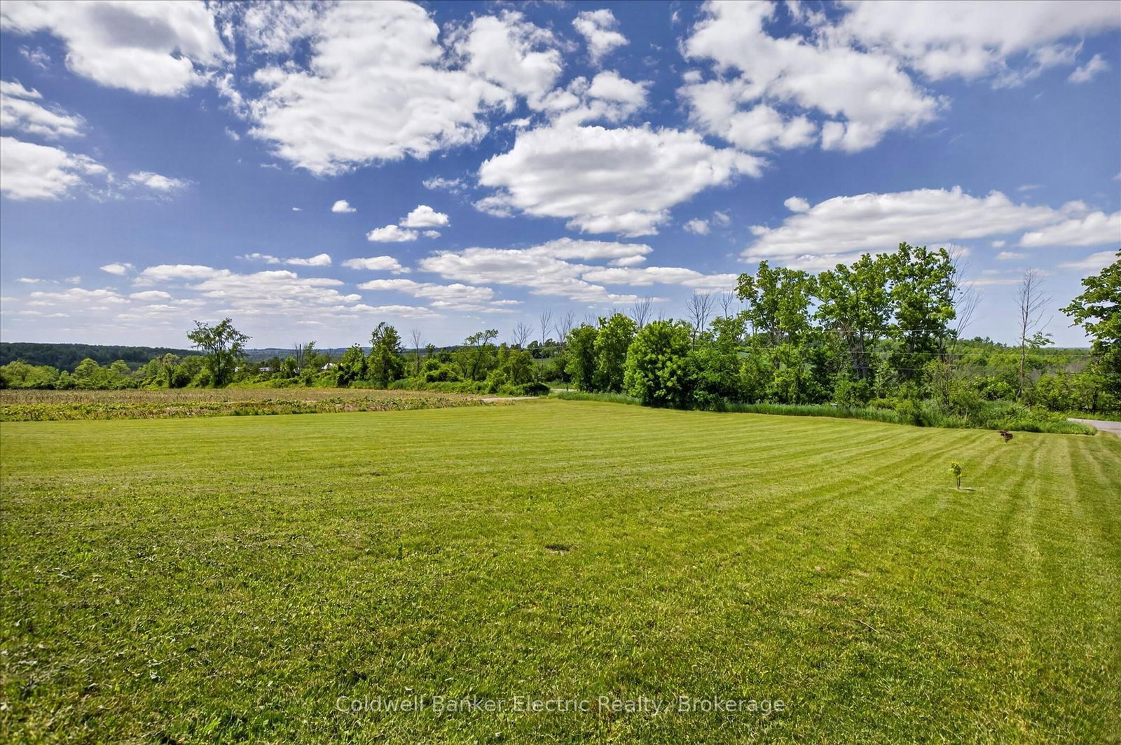 487 11th Concession W • Trent Hills, ON photo 4