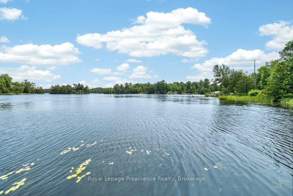 1651 Myers Cave Road • Arden, ON photo 38