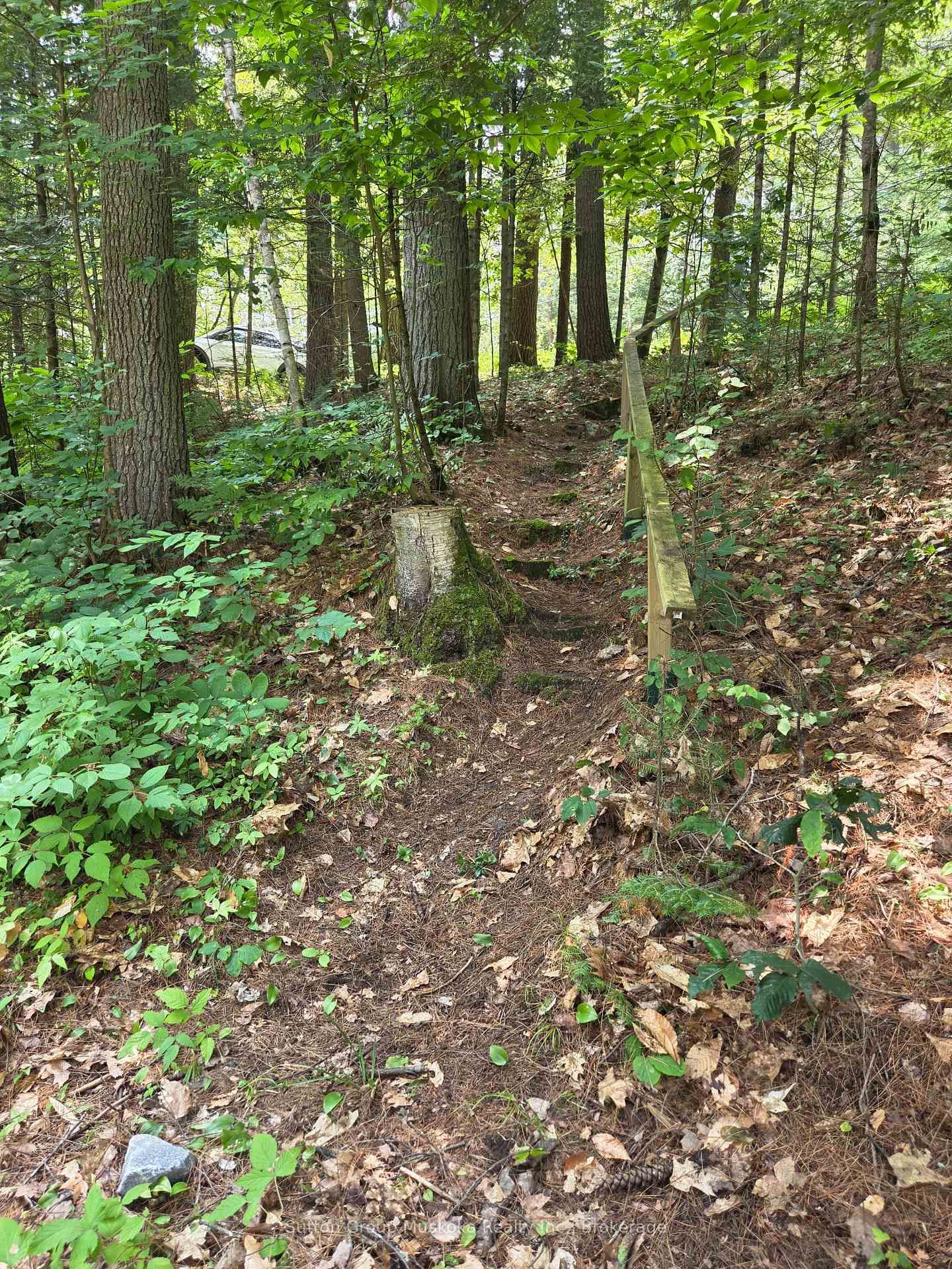 699 South Mary Lake Road • Huntsville, ON photo 33