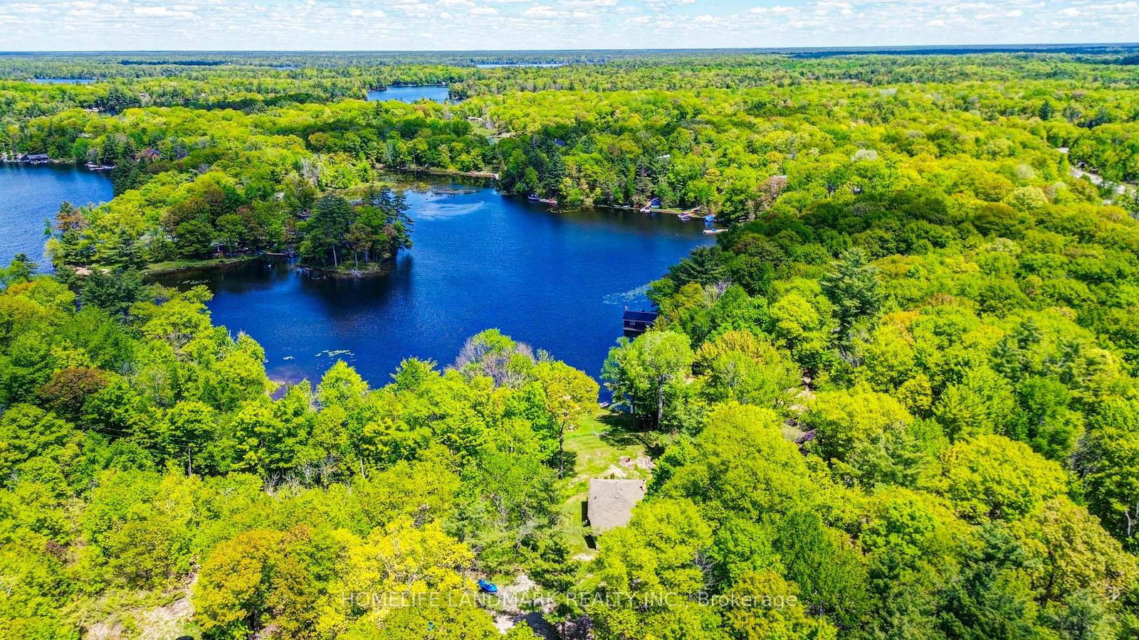433 WHITES FALLS Road • Georgian Bay, ON photo 50