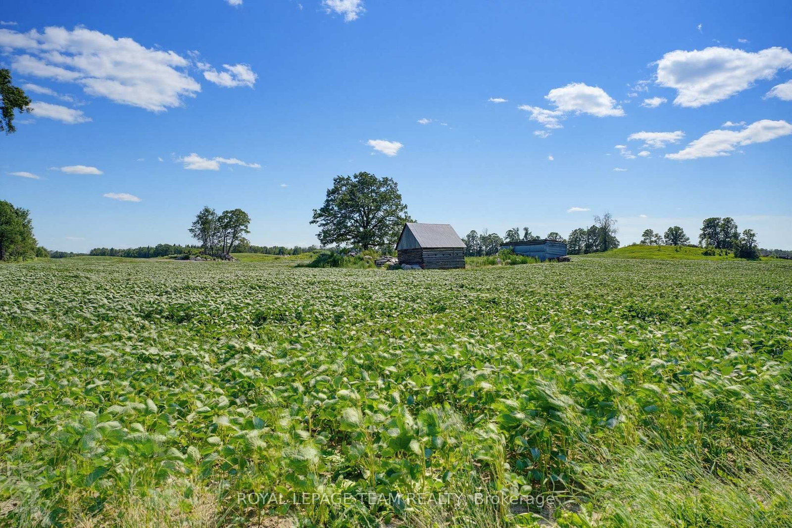 547 MALLOY Road • Westmeath, ON photo 37