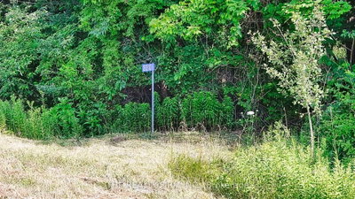 Vacant Land for sale at 3210 Old Dexter Line, Central Elgin, Ontario, N0L 2H0 - Rural Central Elgin - MLS: X13591612
