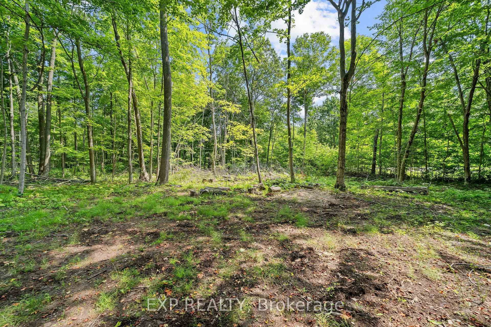 4465 Imperial Road • Malahide, ON photo 34