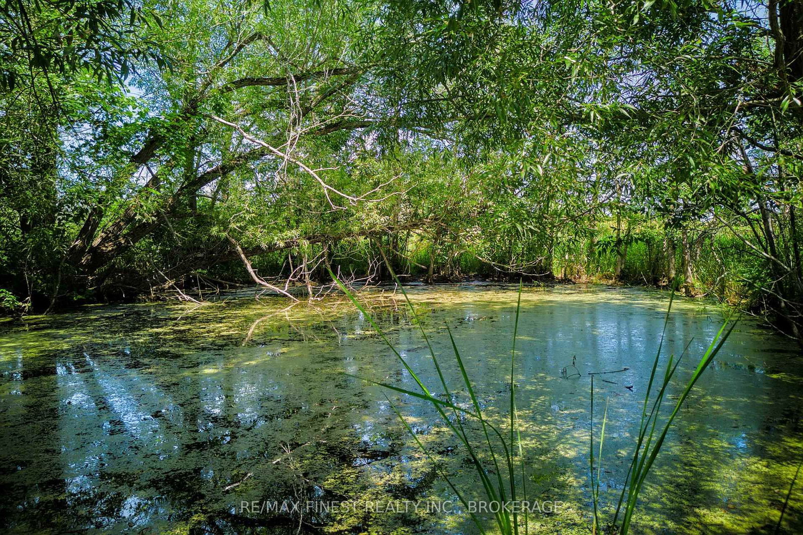 Lot 13b Front Road • Stella, ON photo 19