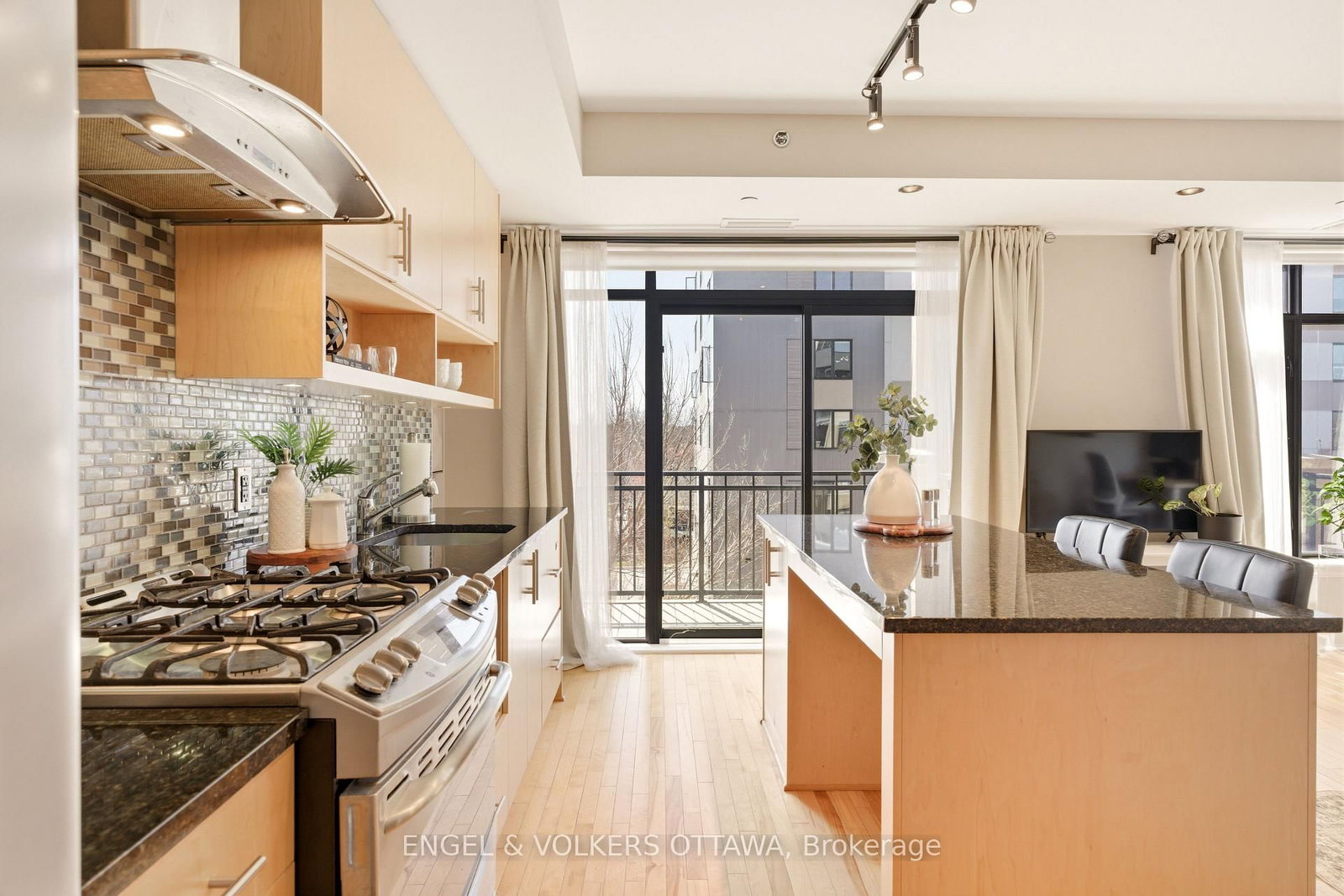 808 Bronson Avenue • #310 • Ottawa, ON photo 8