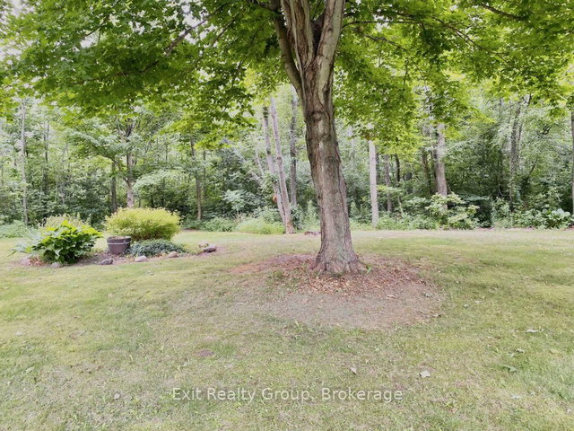 15369 Little Lake Road