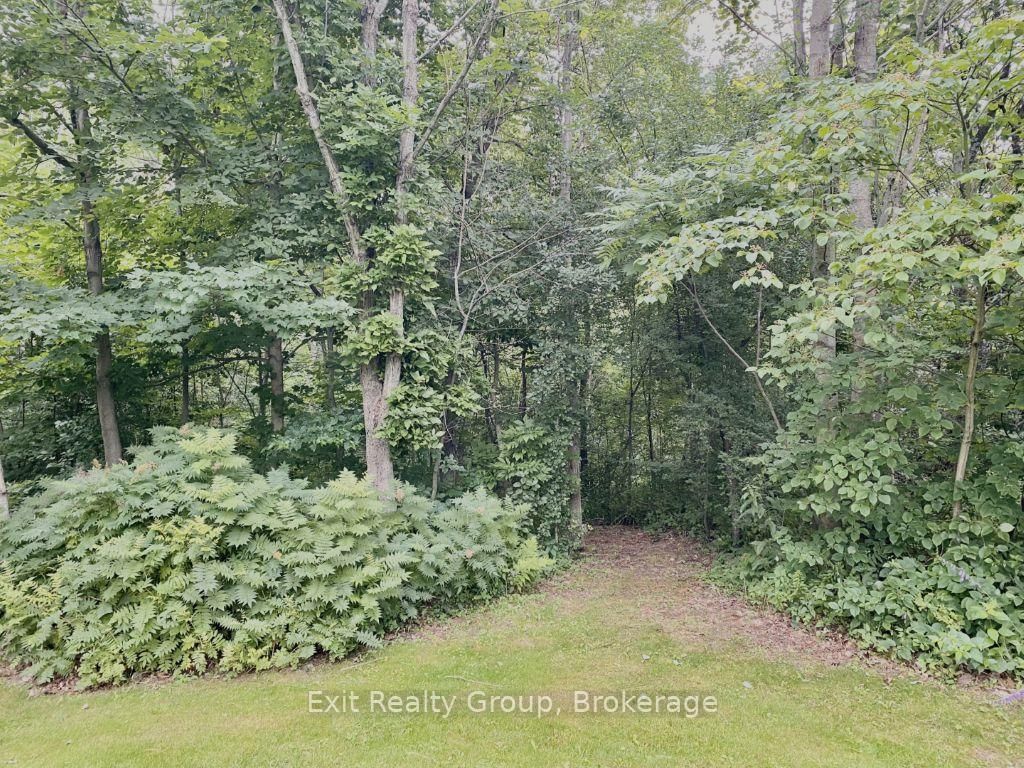 15369 Little Lake Road • Brighton, ON photo 4
