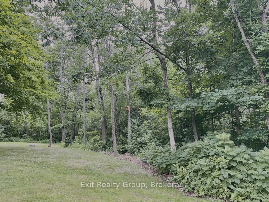 15369 Little Lake Road • Brighton, ON photo 6
