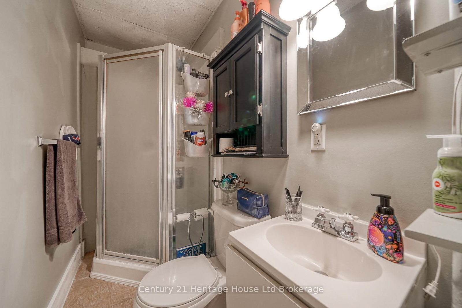 119 Carroll Street • Ingersoll, ON photo 25