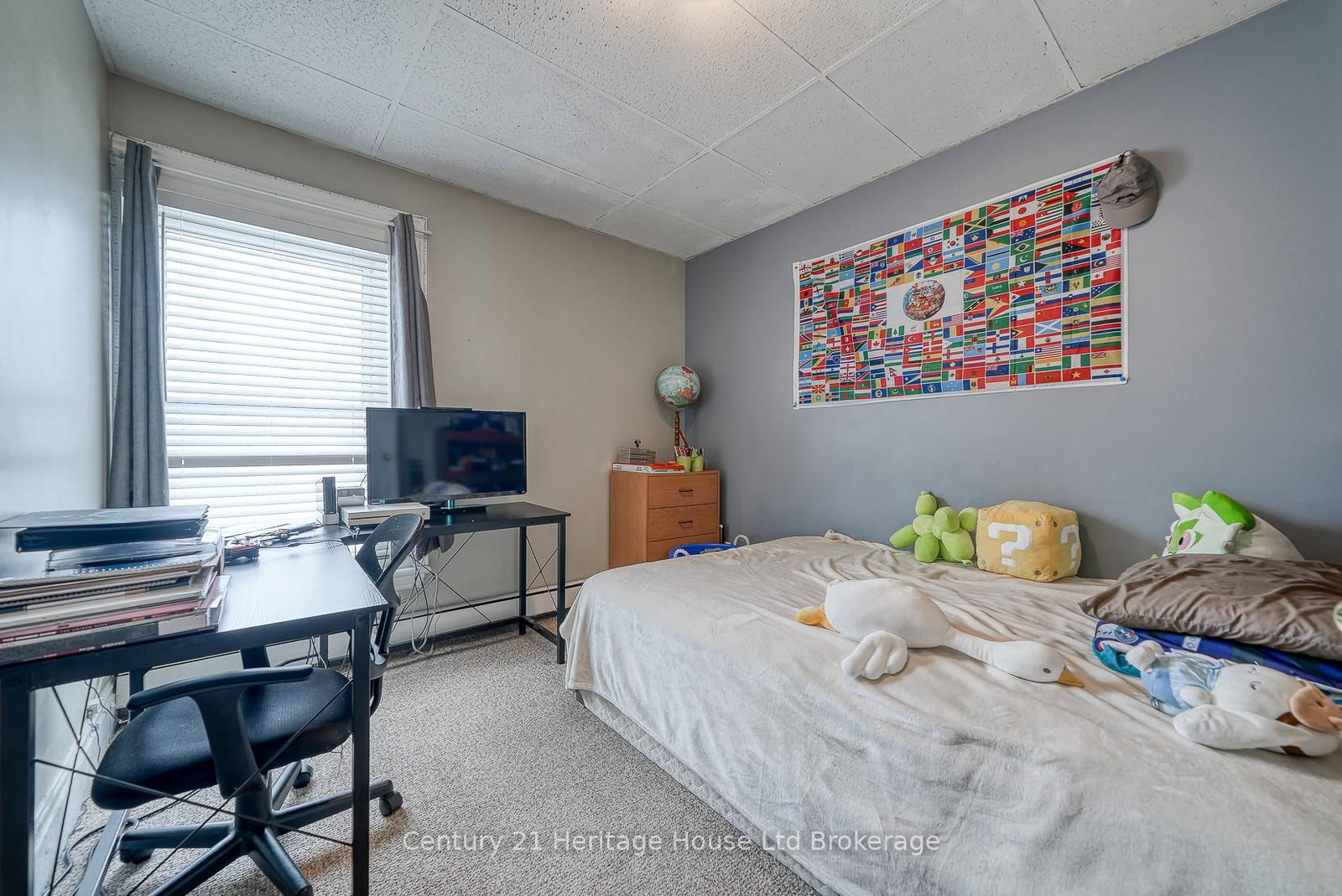 119 Carroll Street • Ingersoll, ON photo 26