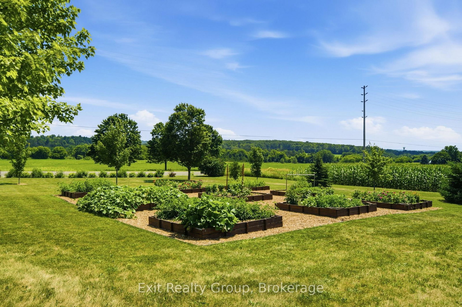 4903 County Rd 30 • Trent Hills, ON photo 43