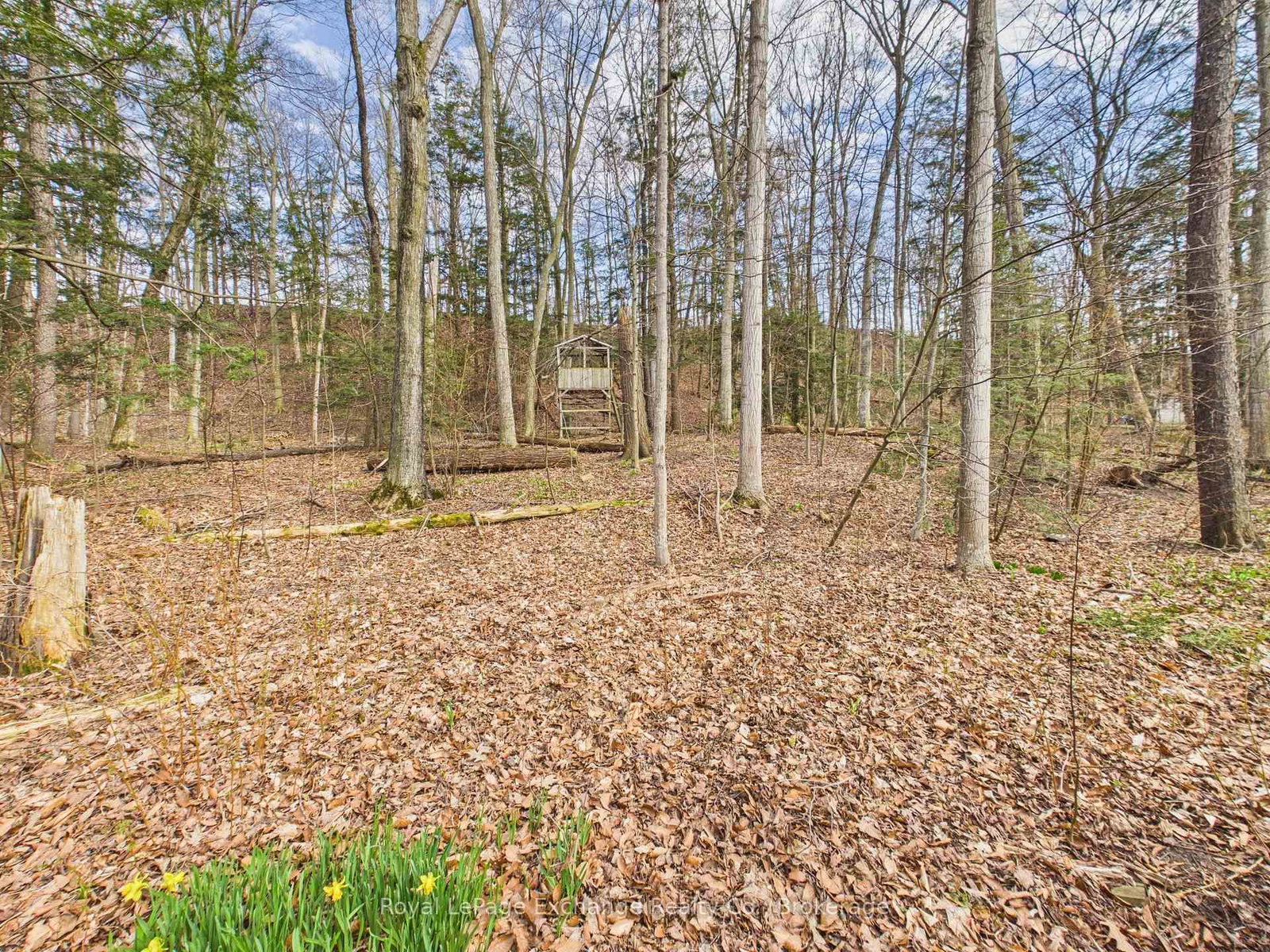 32 Blairs Trail • Huron-Kinloss, ON photo 21