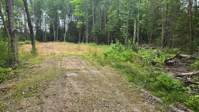 2438 Village Road