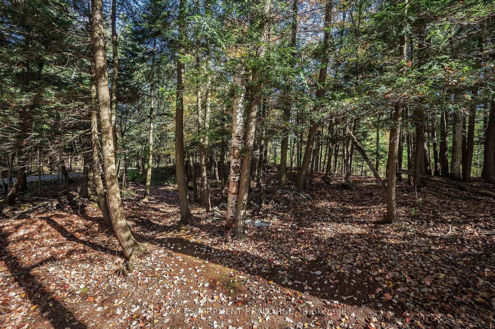 1012 Armstrong Road • Gravenhurst, ON photo 27