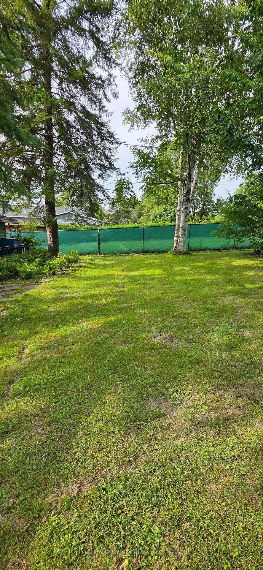 73 Loon Street • Kawartha Lakes, ON photo 28
