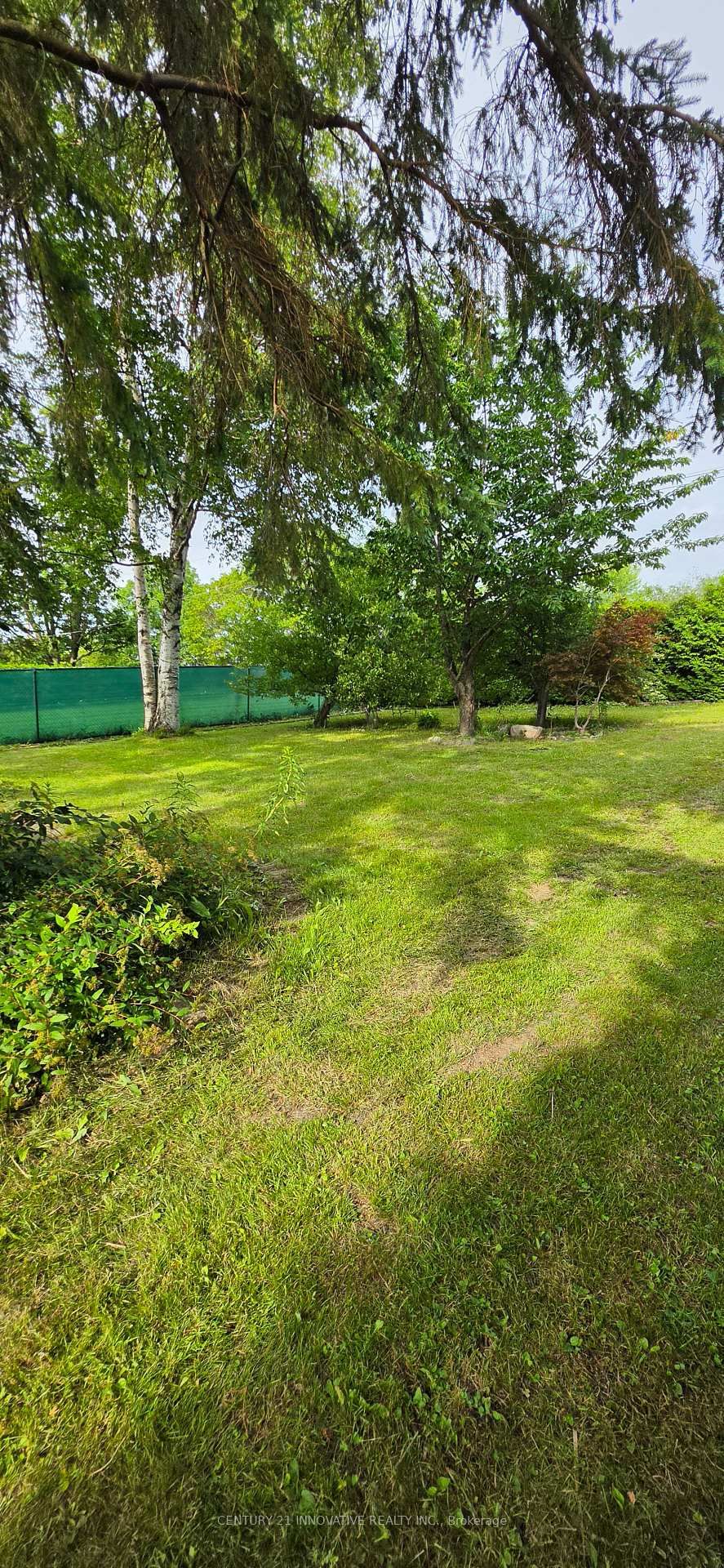 73 Loon Street • Kawartha Lakes, ON photo 29