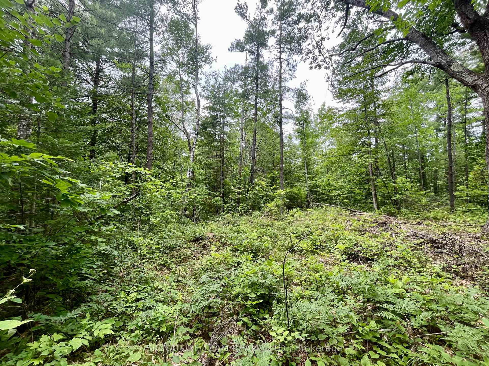 1011 Mcgrath Road • Eganville, ON photo 11