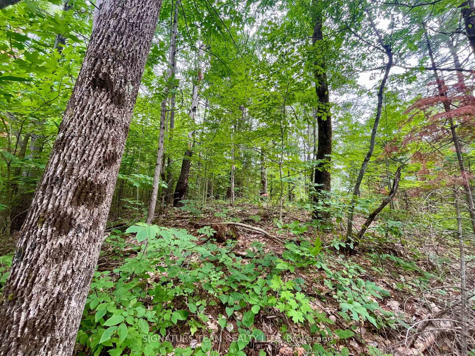 1011 Mcgrath Road • Eganville, ON photo 15
