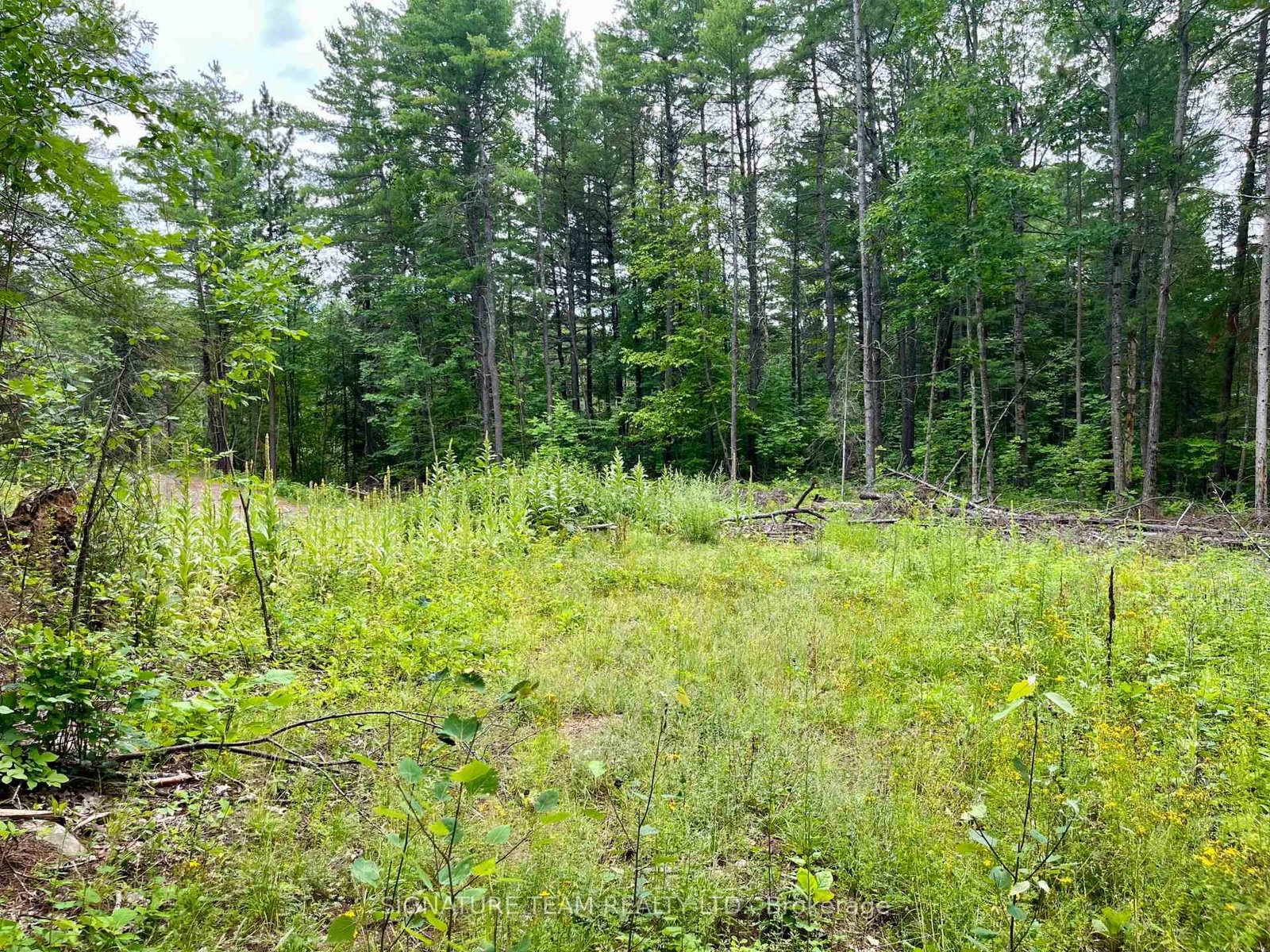 1011 Mcgrath Road • Eganville, ON photo 16