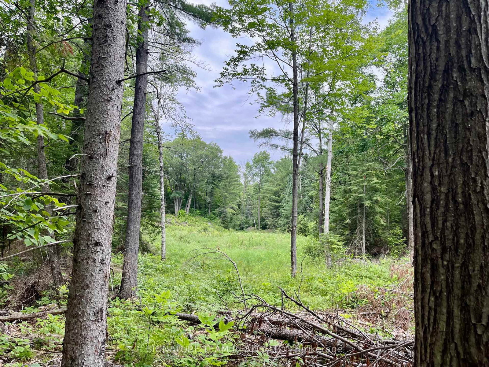 1011 Mcgrath Road • Eganville, ON photo 17