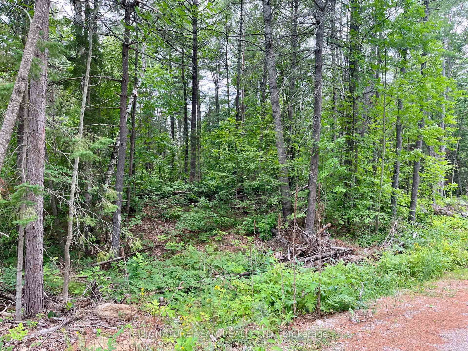 1011 Mcgrath Road • Eganville, ON photo 18