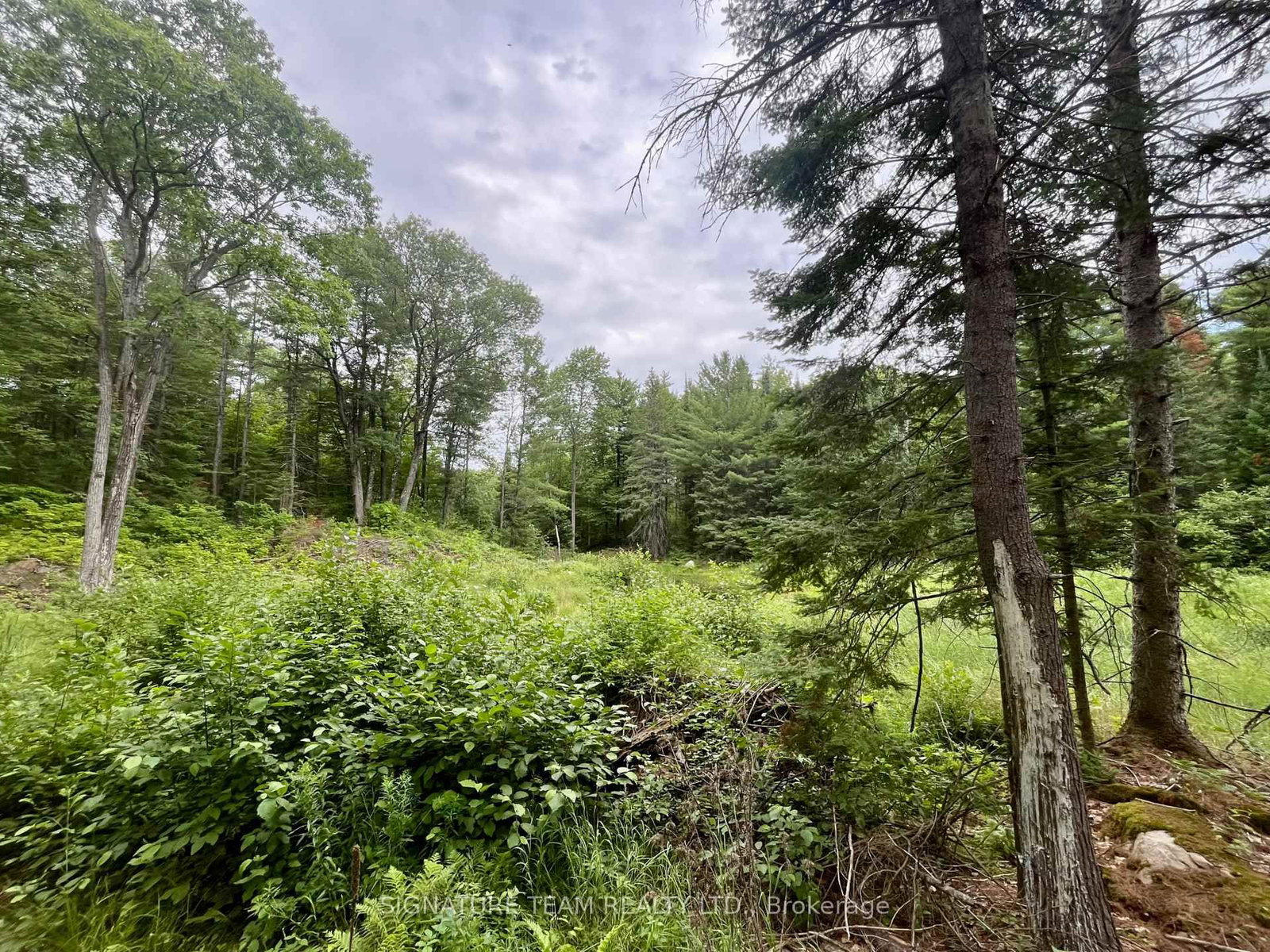 1011 Mcgrath Road • Eganville, ON photo 23