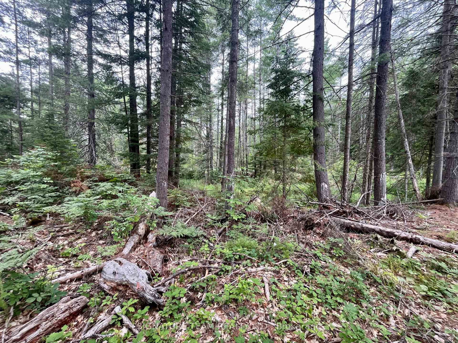 1011 Mcgrath Road • Eganville, ON photo 25
