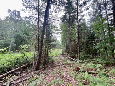 1011 Mcgrath Road • Eganville, ON photo 7