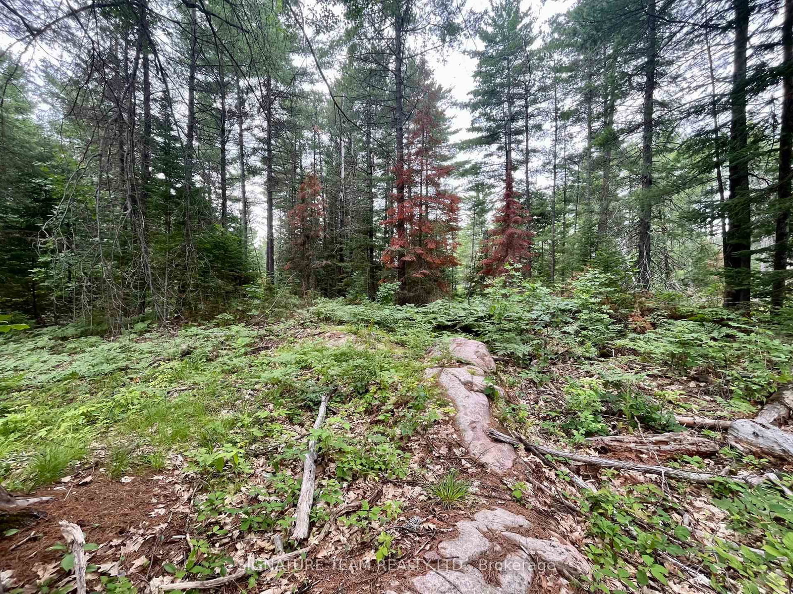 1011 Mcgrath Road • Eganville, ON photo 8