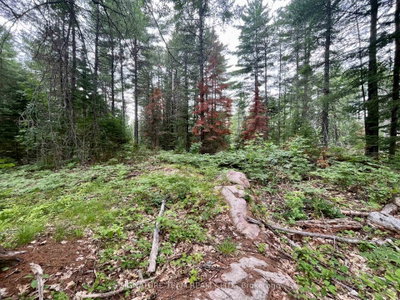 1011 Mcgrath Road • Eganville, ON photo 8