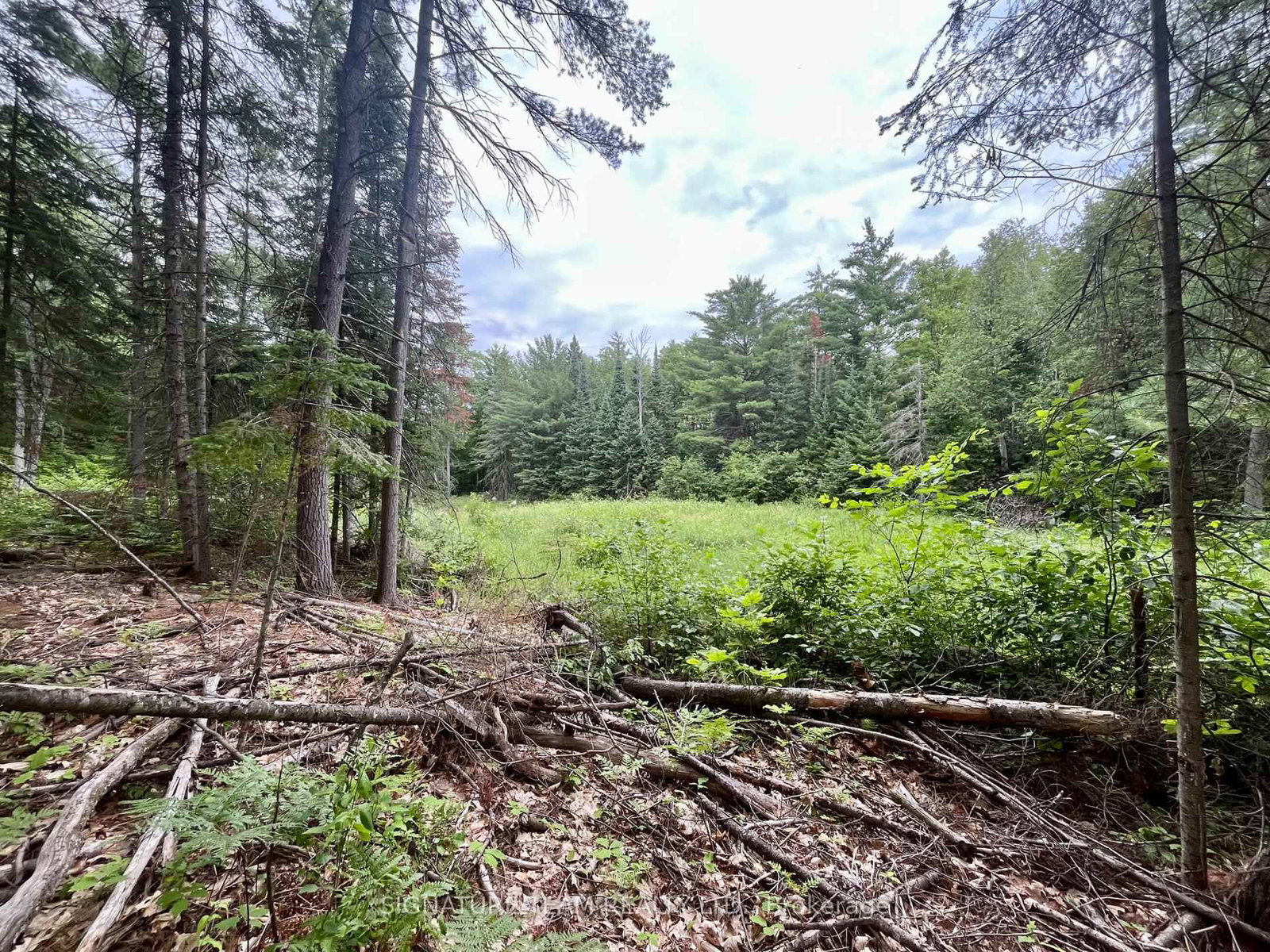 1011 Mcgrath Road • Eganville, ON photo 9