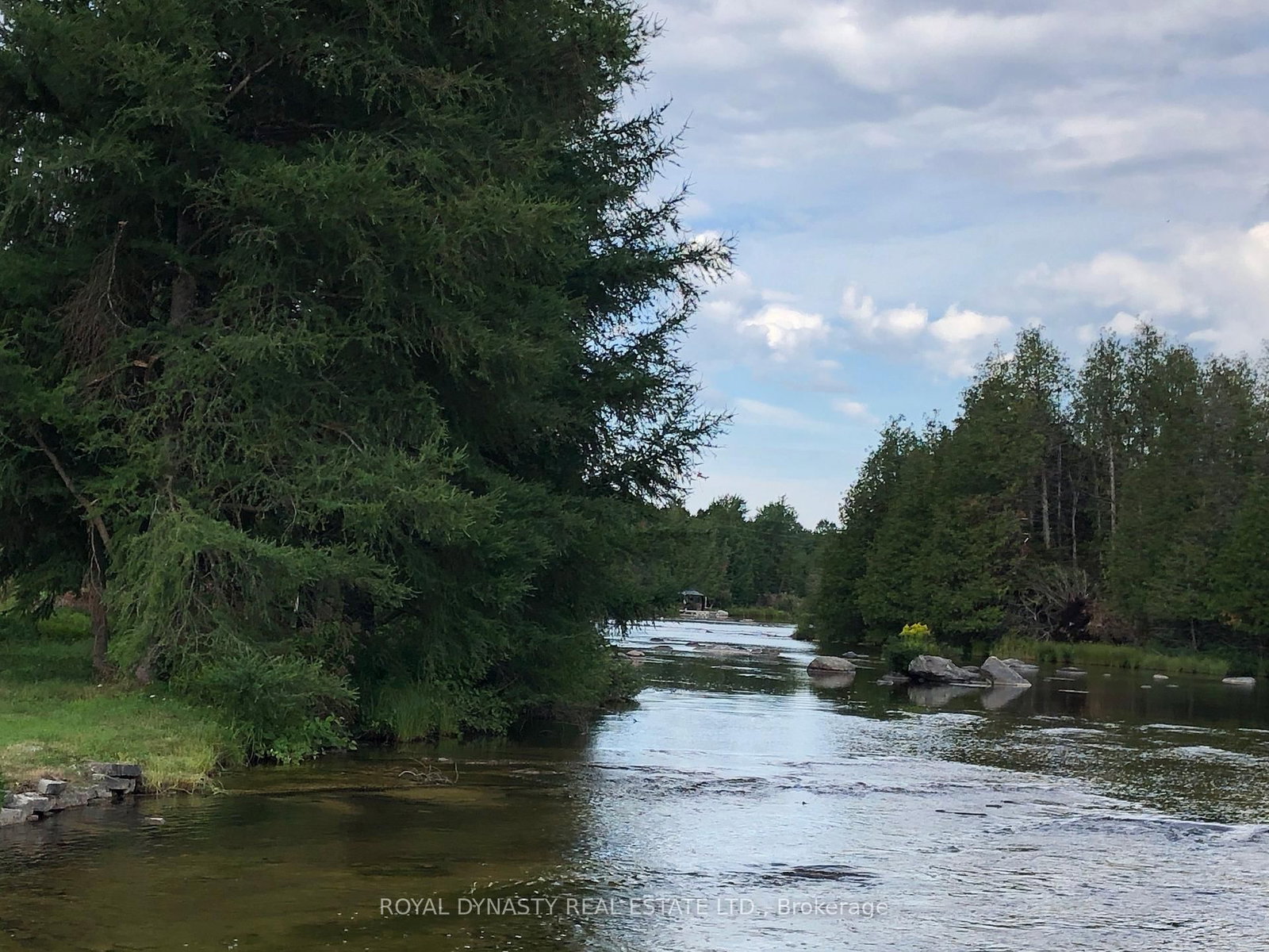 509 SAWMILL Road • Douro-Dummer, ON photo 12