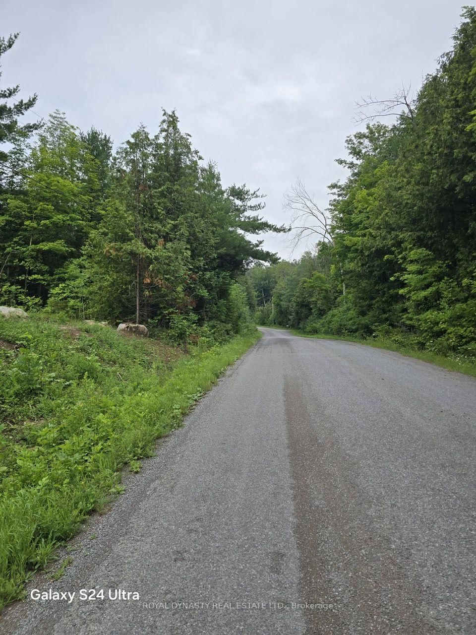 509 SAWMILL Road • Douro-Dummer, ON photo 15