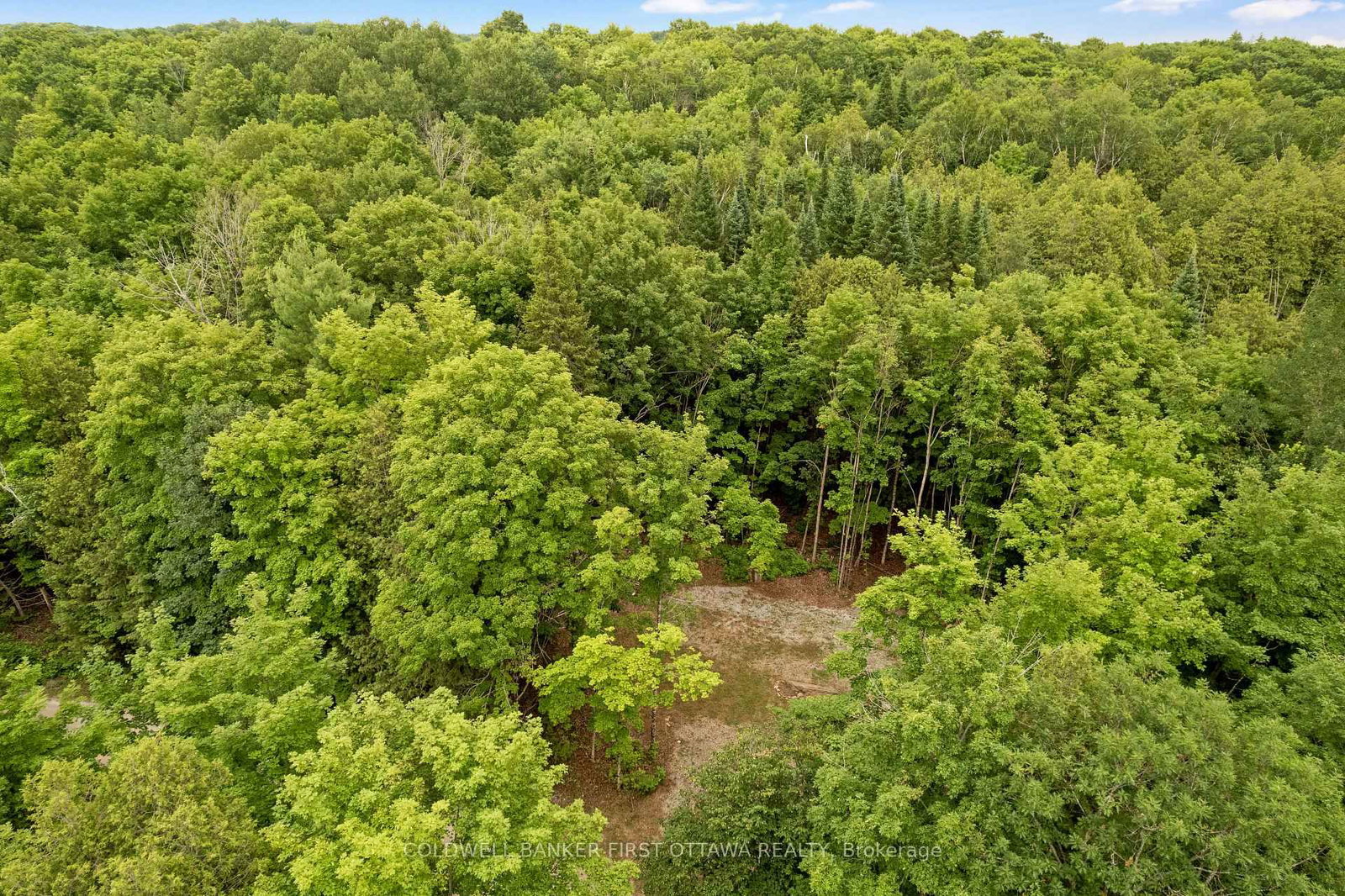 1039 Sunset Strip Lane • Ompah, ON photo 12