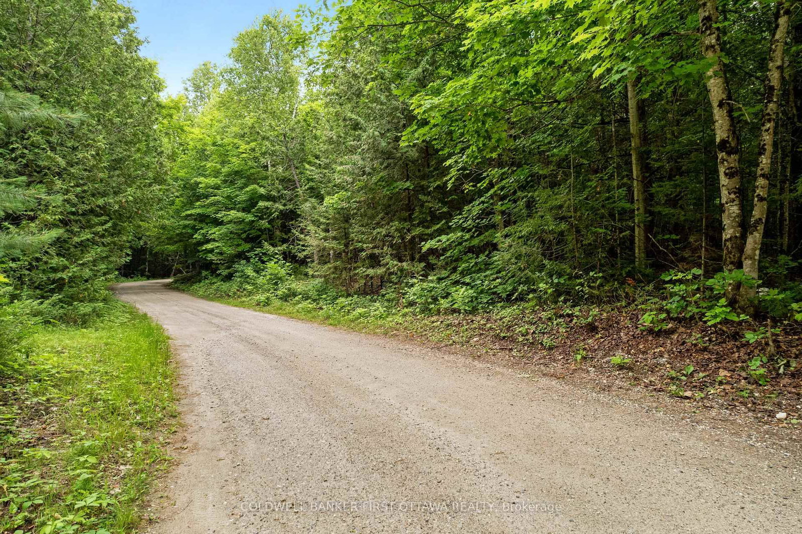 1039 Sunset Strip Lane • Ompah, ON photo 27