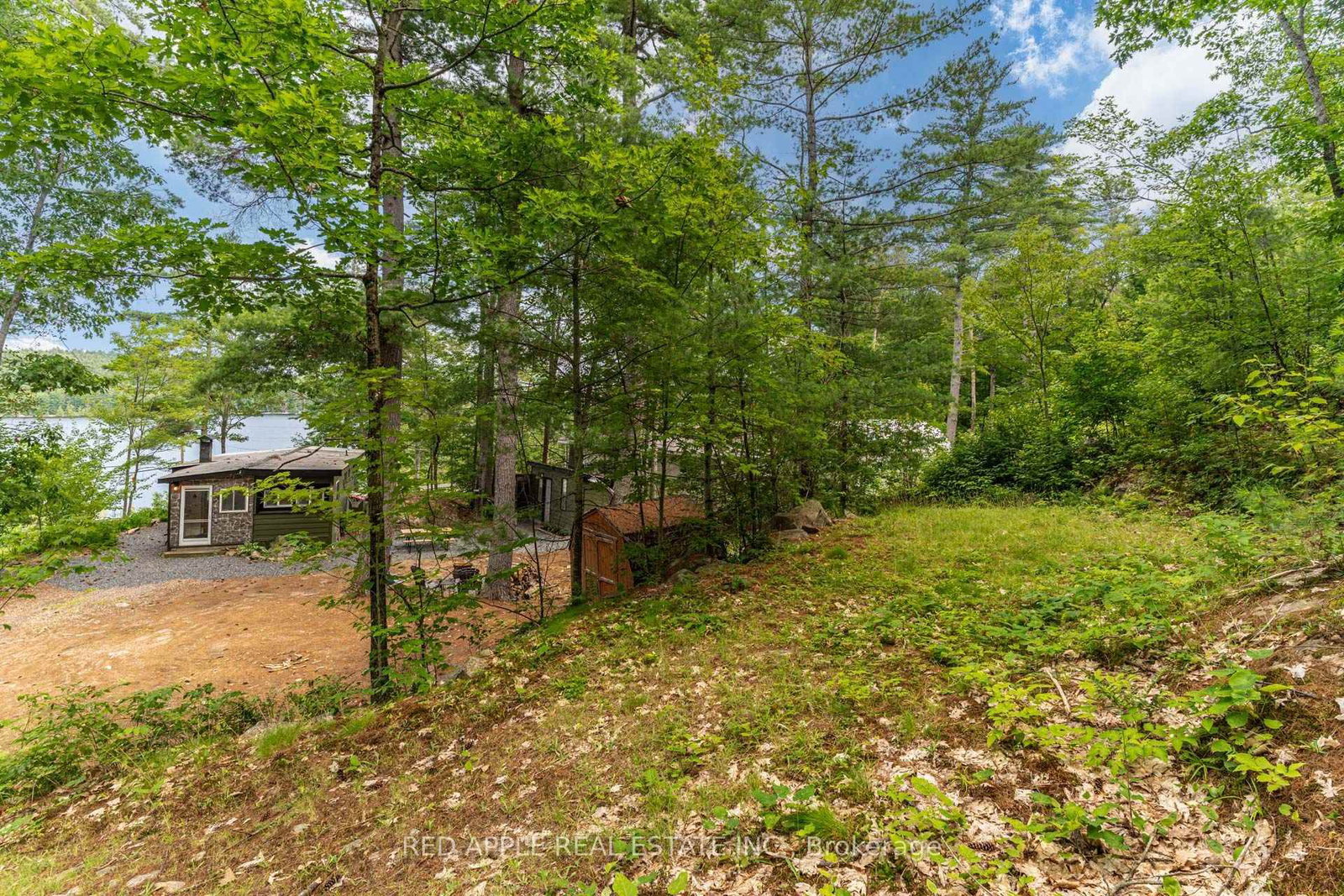 17568 Hwy #41 • Cloyne, ON photo 29