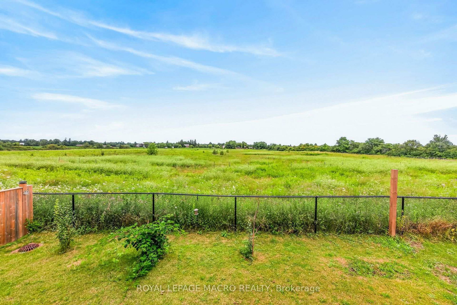 76 McWatters Street • Hamilton, ON photo 44