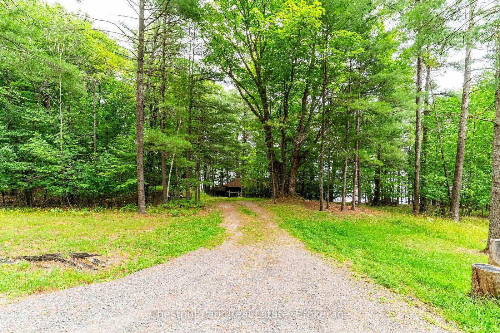 1049 Sagamo Boulevard • Muskoka Lakes, ON photo 9