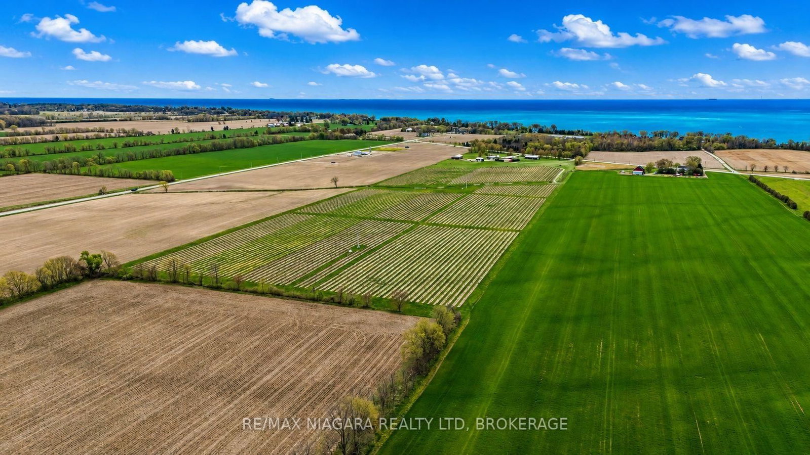 410 W County Rd 50 Road • Essex, ON photo 50