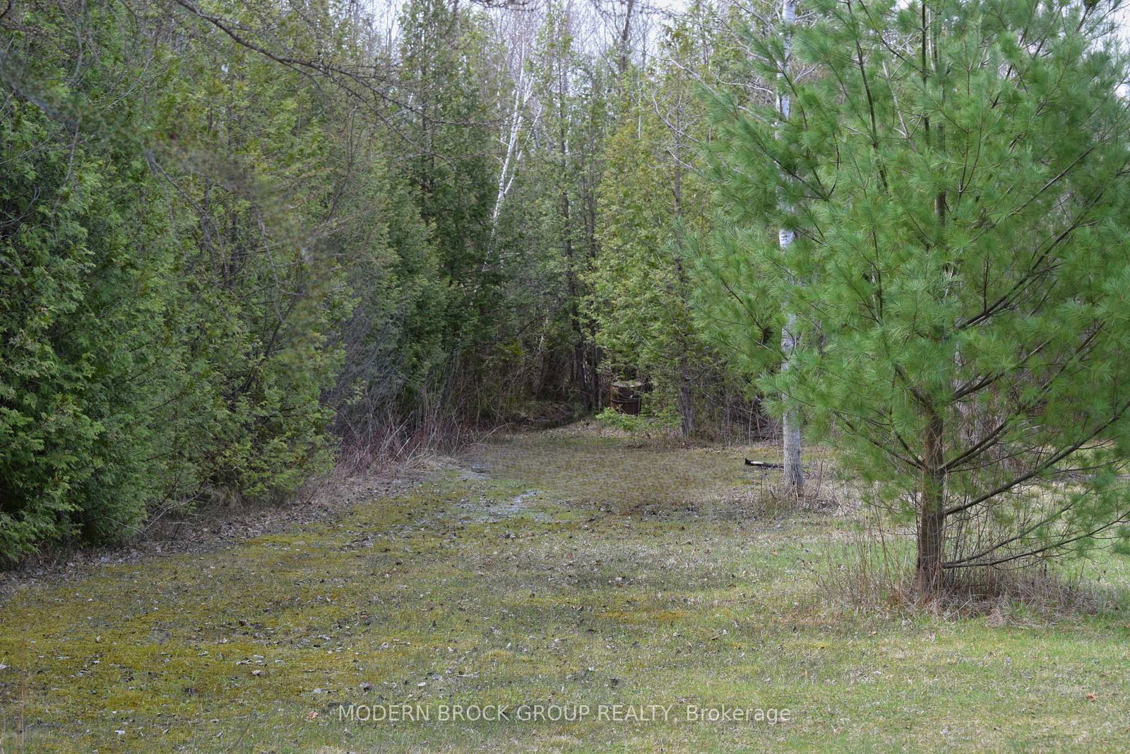 Listing Image 44