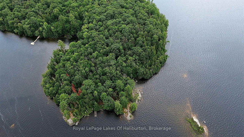 11440 Kushog Lake WAO Island